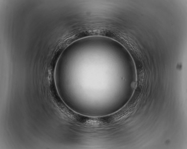 X0000101170699200806271034