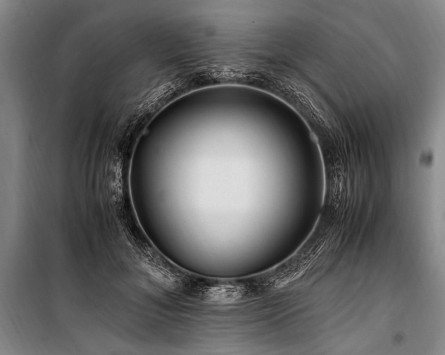 X0000101170700200806271034