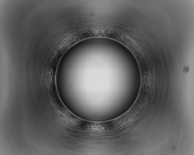 X0000101170702200806271034