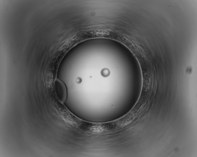 X0000101170704200806271034