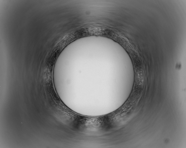 X0000101170705200806271034