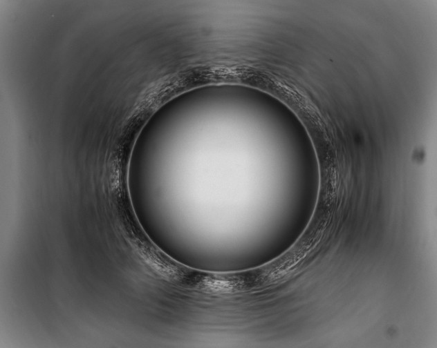 X0000101170706200806271034