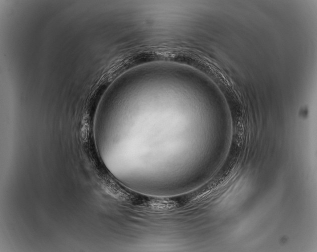 X0000101170707200806271034