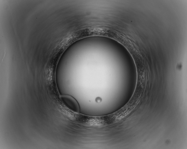 X0000101170708200806271034