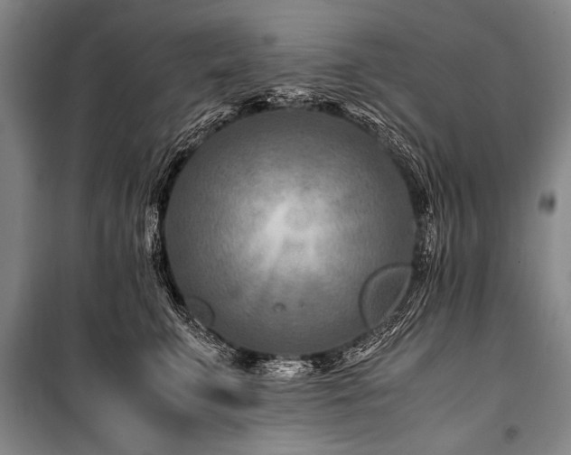 X0000101170711200806271034