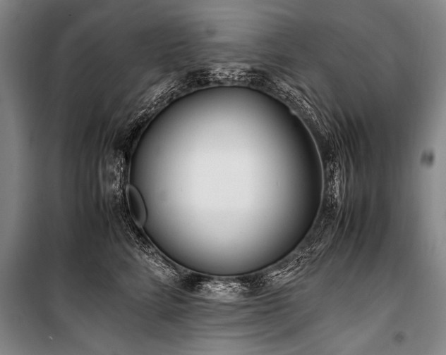 X0000101170712200806271034
