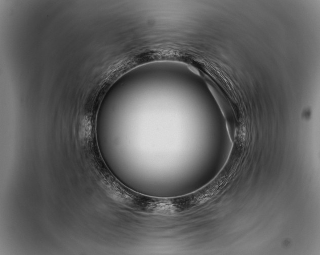 X0000101170715200806271034