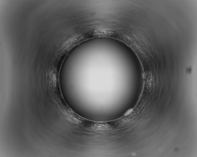 X0000101170716200806271034