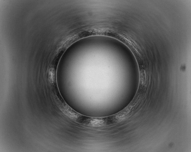 X0000101170718200806271034