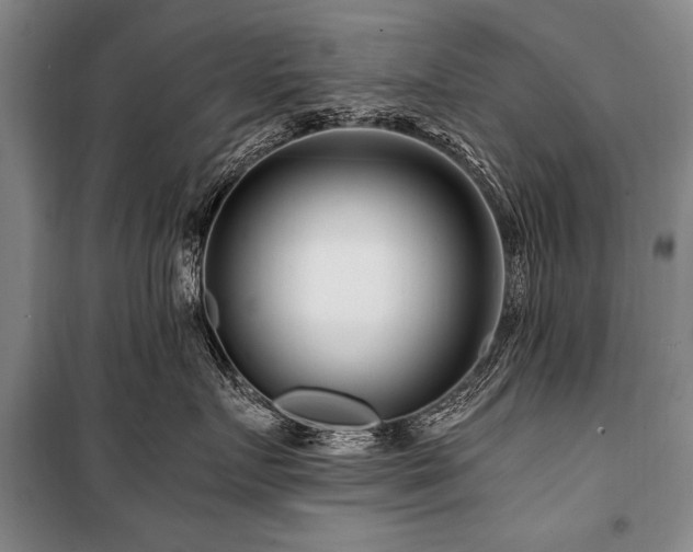 X0000101170719200806271034