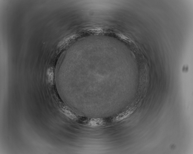 X0000101170720200806271034