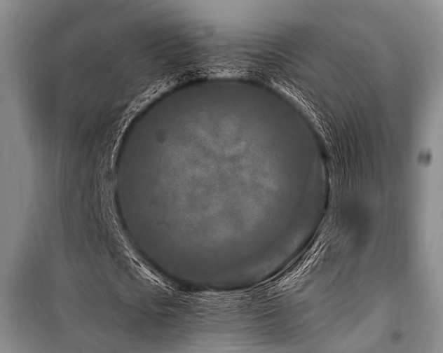 X0000101170721200806271033