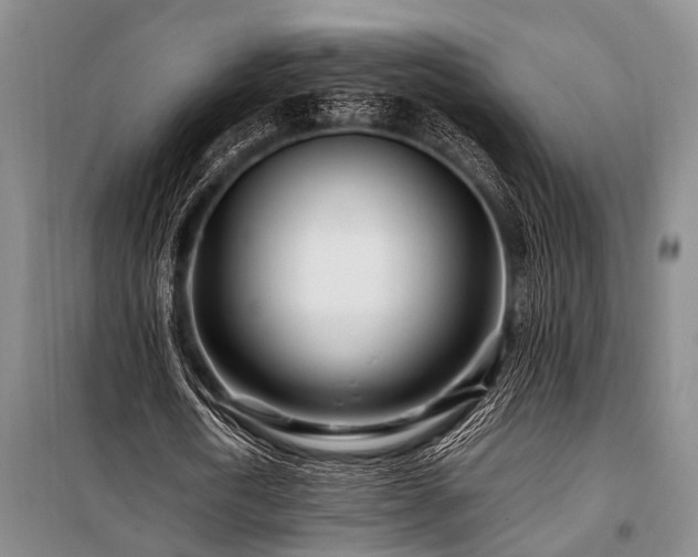 X0000101170722200806271033