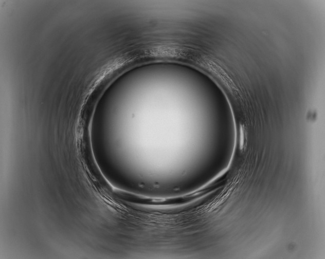X0000101170723200806271033
