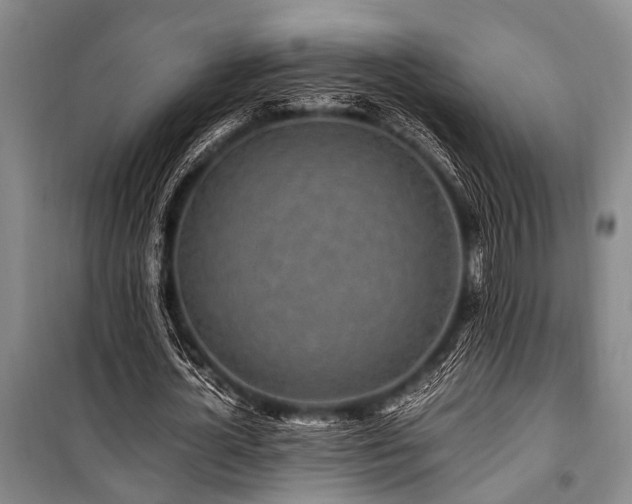 X0000101170724200806271034