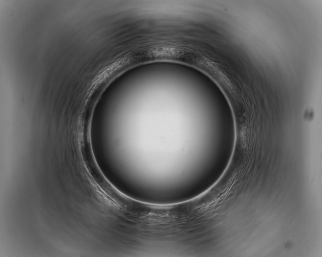 X0000101170725200806271034