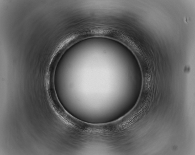 X0000101170726200806271034