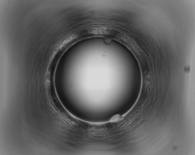 X0000101170727200806271034