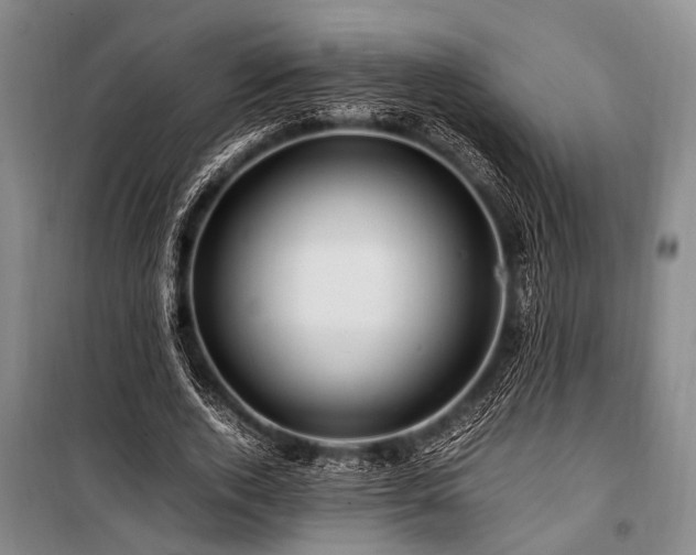 X0000101170728200806271034