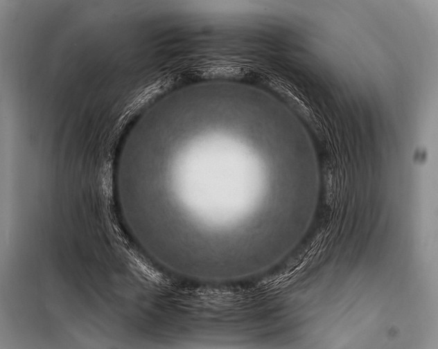 X0000101170729200806271034