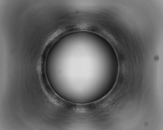 X0000101170730200806271034