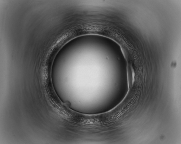 X0000101170731200806271034