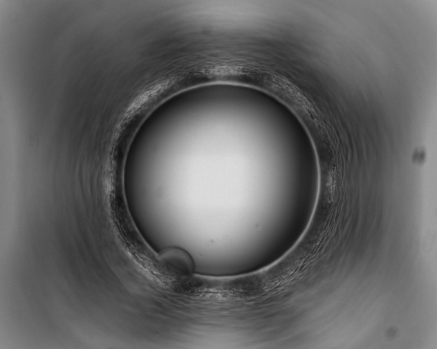 X0000101170732200806271034