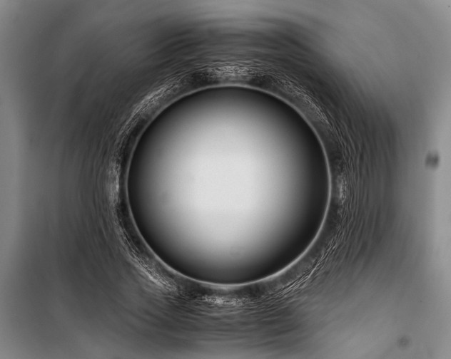 X0000101170733200806271034