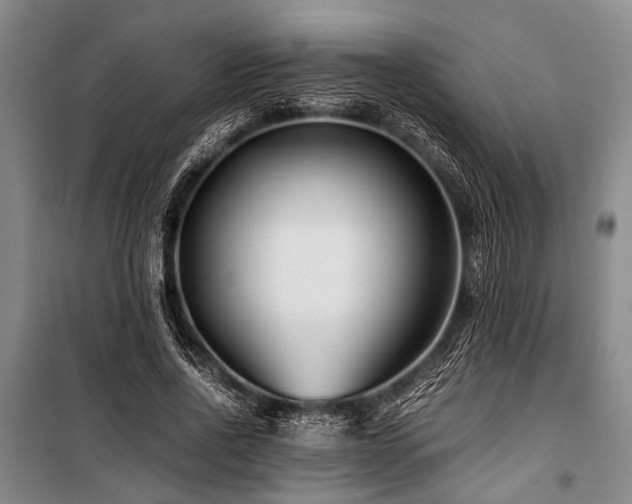X0000101170734200806271034