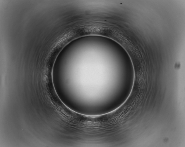 X0000101170735200806271034
