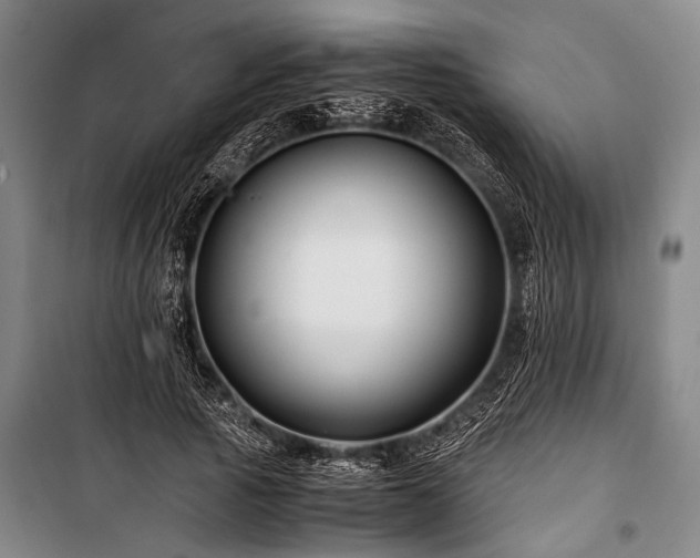 X0000101170737200806271034