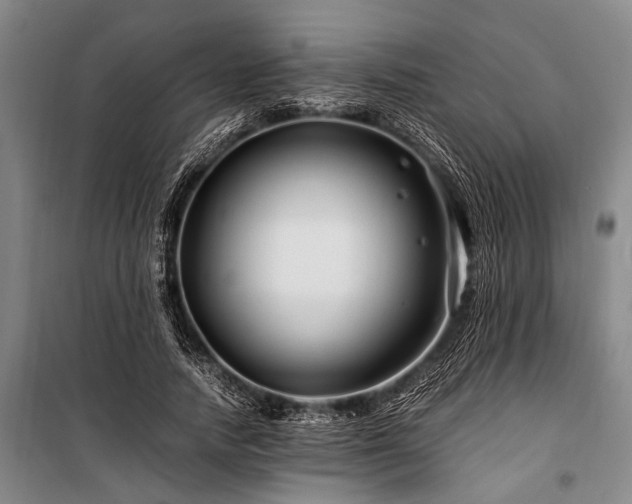 X0000101170738200806271034
