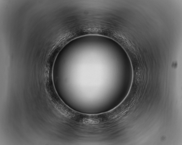 X0000101170739200806271034