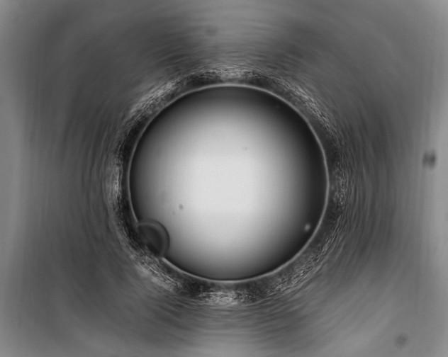 X0000101170740200806271034