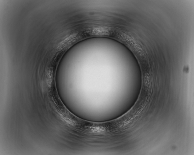 X0000101170741200806271034