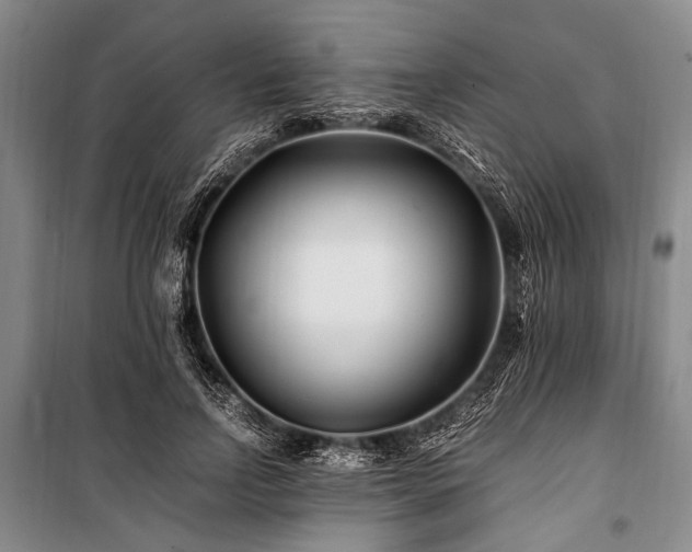 X0000101170742200806271034