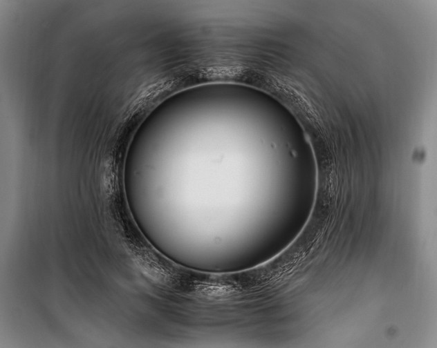 X0000101170743200806271034