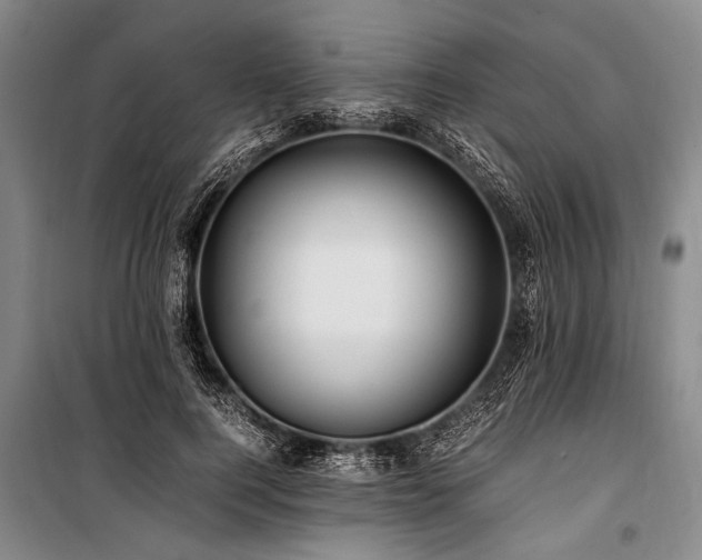 X0000101170744200806271034