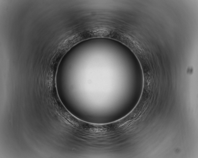 X0000101170745200806271034