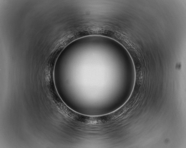 X0000101170746200806271034