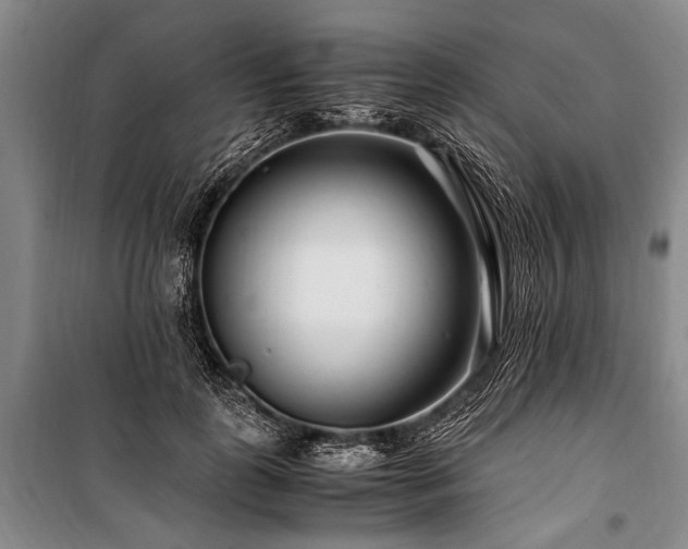 X0000101170747200806271034
