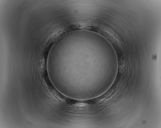 X0000101170748200806271034