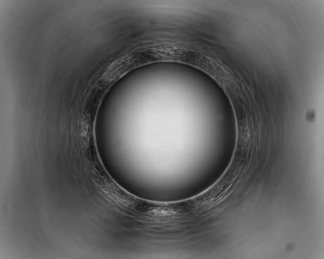 X0000101170749200806271034