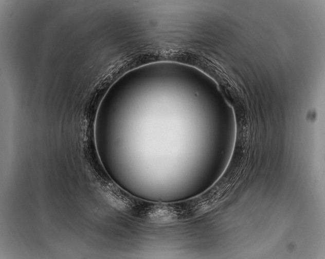 X0000101170750200806271034