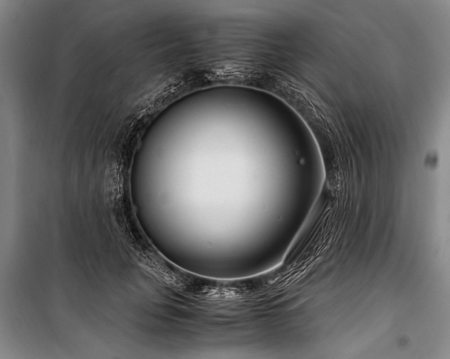X0000101170751200806271034