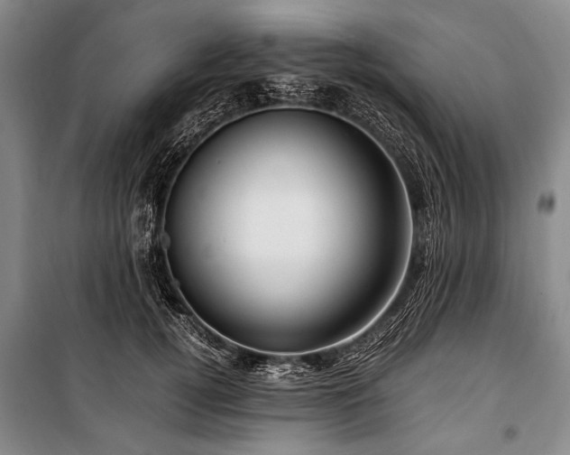 X0000101170752200806271034