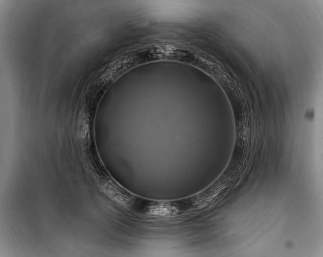 X0000101170754200806271034