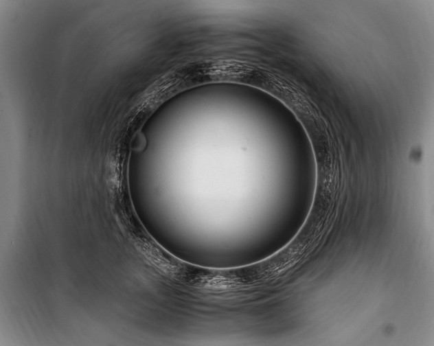 X0000101170755200806271034