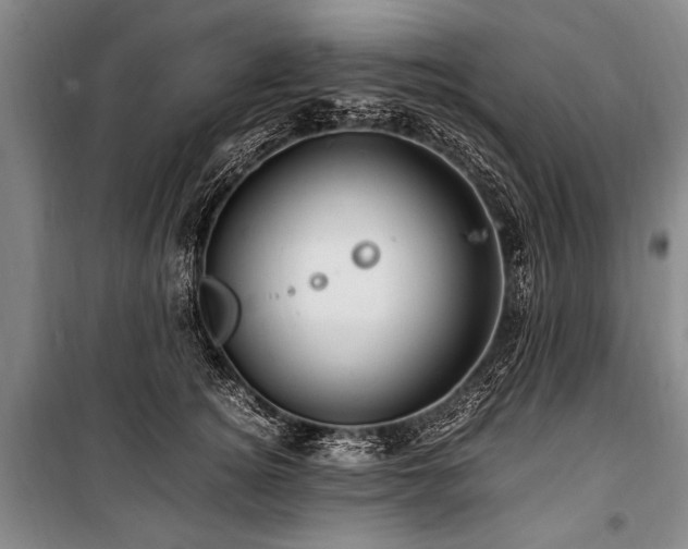 X0000101170756200806271034