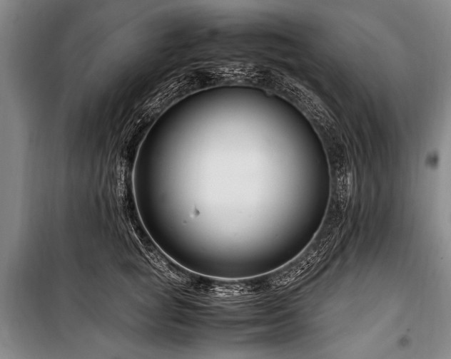 X0000101170757200806271034